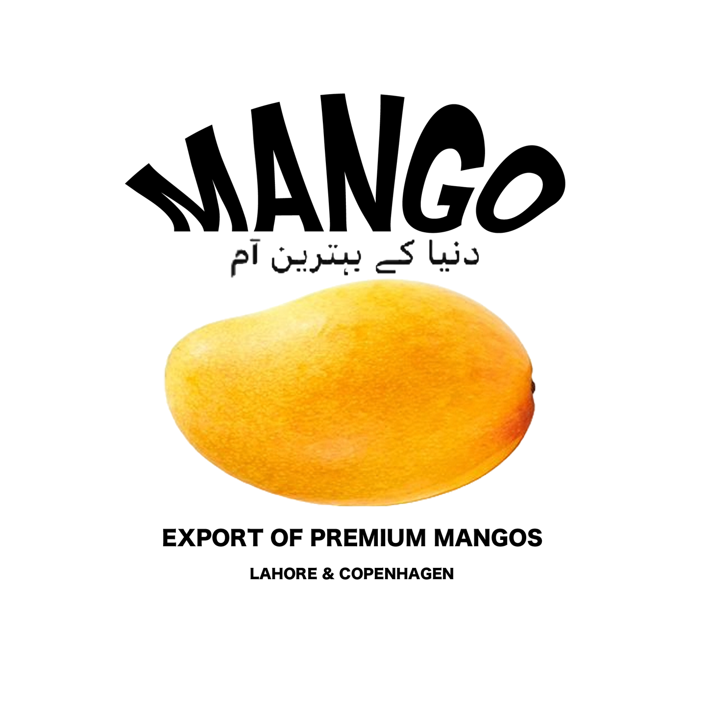 Mango T-shirt