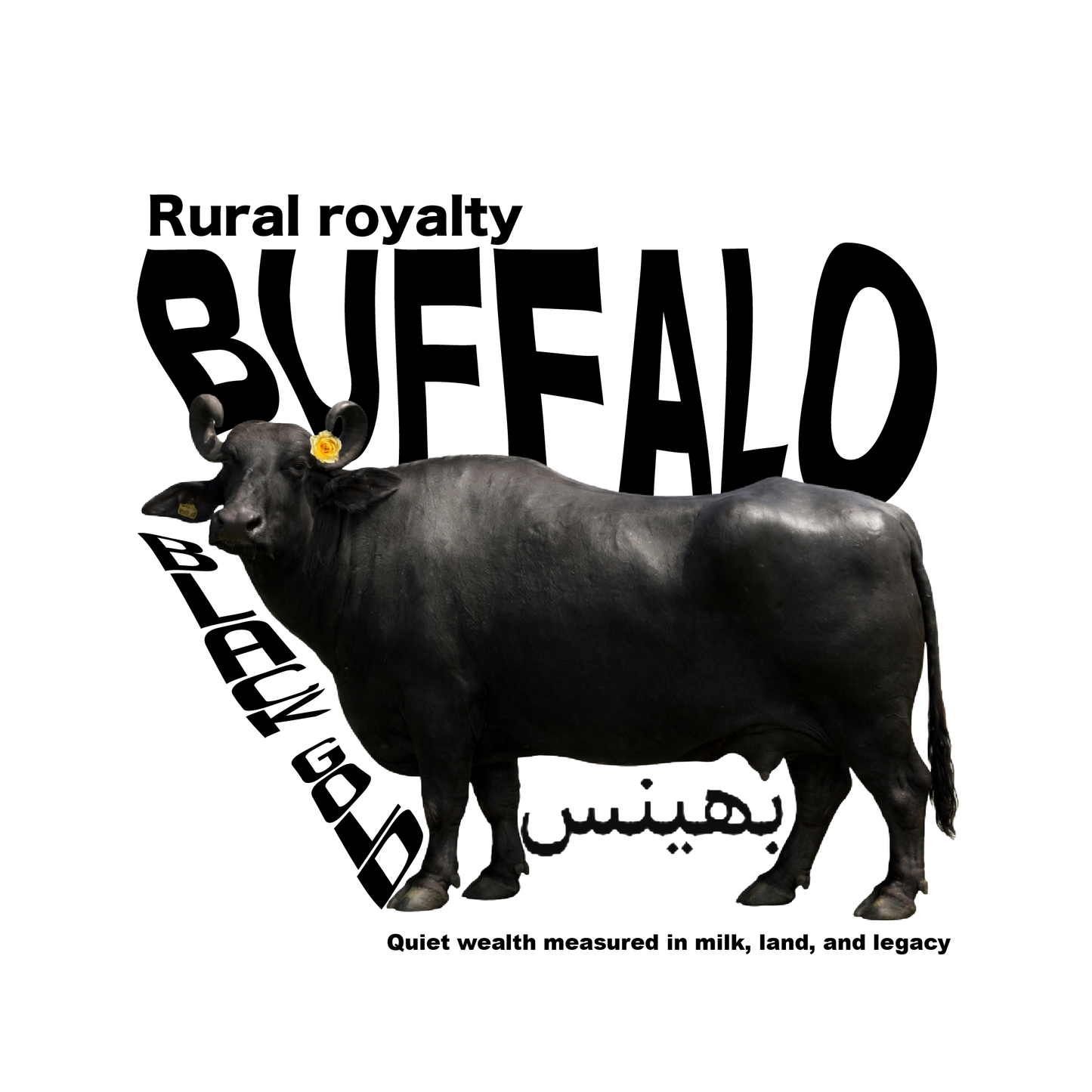 Buffalo T-Shirt